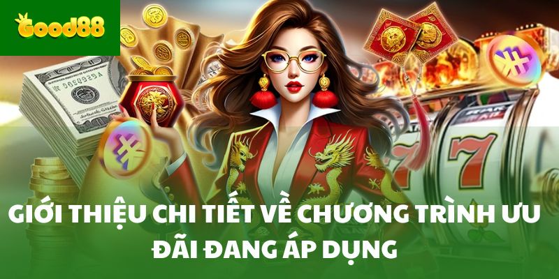 Giới thiệu chi tiết về chương trình ưu đãi đang áp dụng