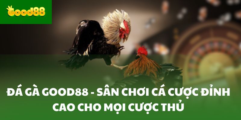Đá gà good88