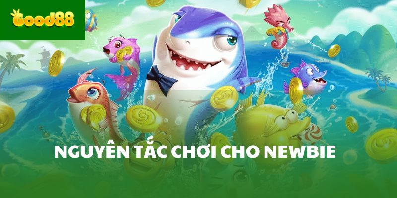 Nguyên tắc chơi cho newbie